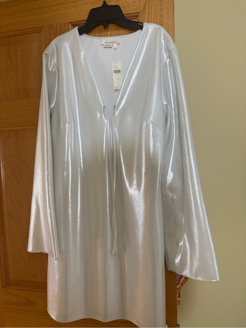 Anthropologie Silver Metallic V-Neck Tie-Front Tunic